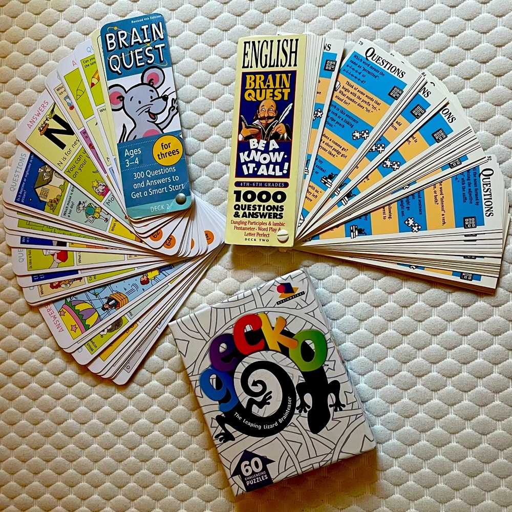 Collection of 3 Brain Games - Gecko & Brain Quest